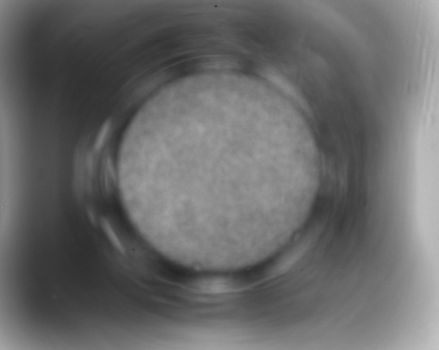 X0000088150061200706041402