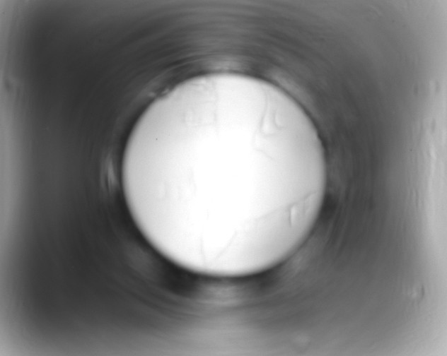 X0000088150062200706041402