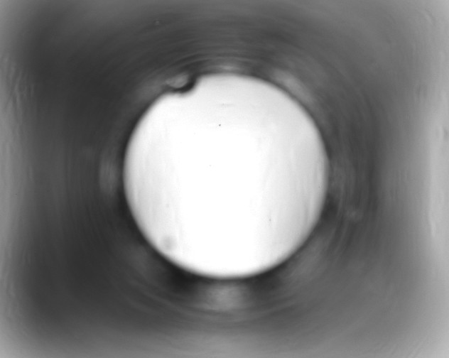 X0000088150063200706041402