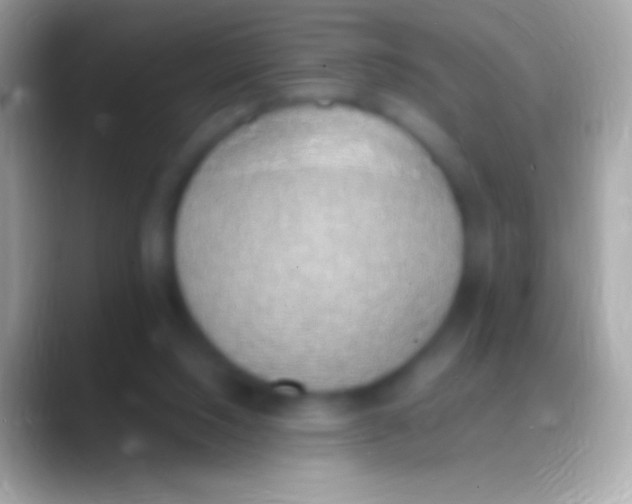 X0000088150064200706041402