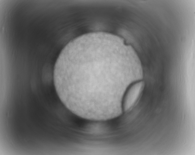 X0000088150065200706041402