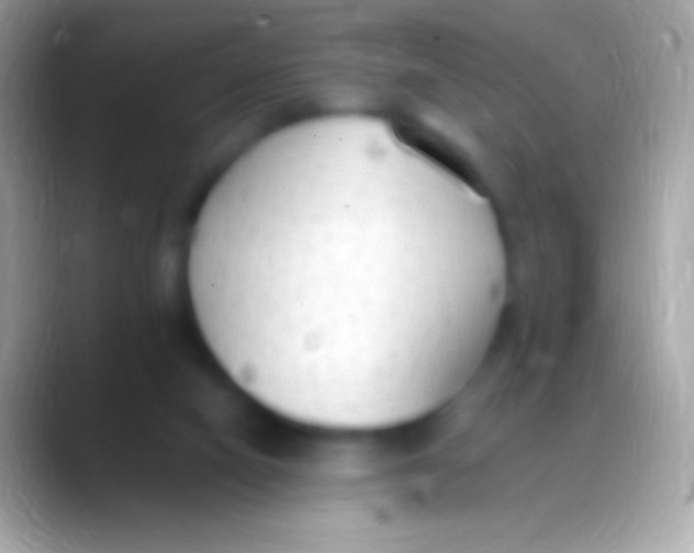 X0000088150066200706041402