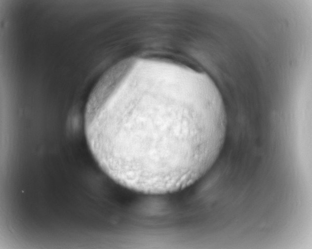 X0000088150067200706041402