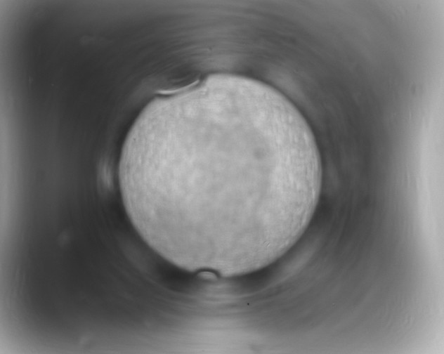 X0000088150068200706041402