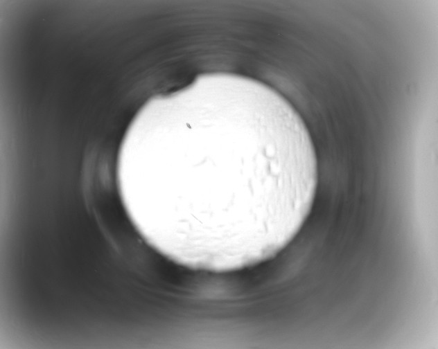 X0000088150069200706041402