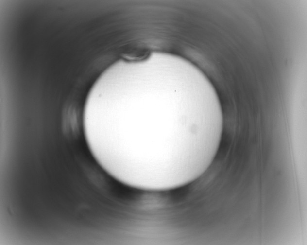 X0000088150070200706041402