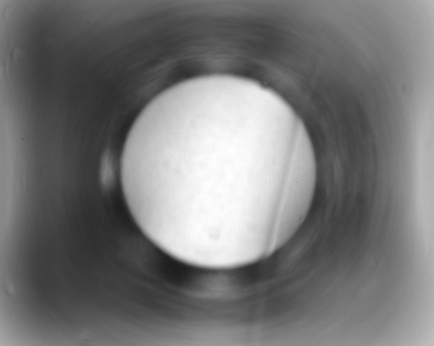 X0000088150075200706041402