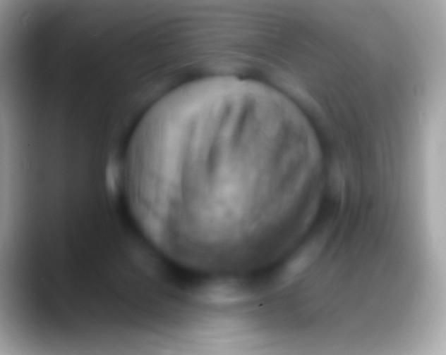 X0000088150076200706041402