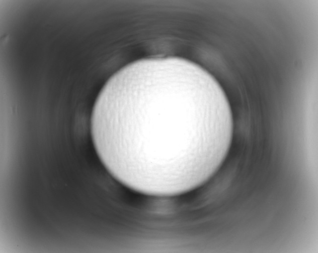 X0000088150081200706041402