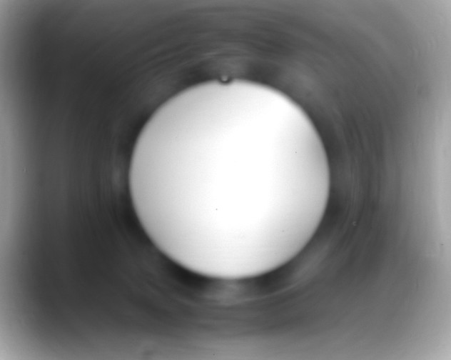 X0000088150083200706041402