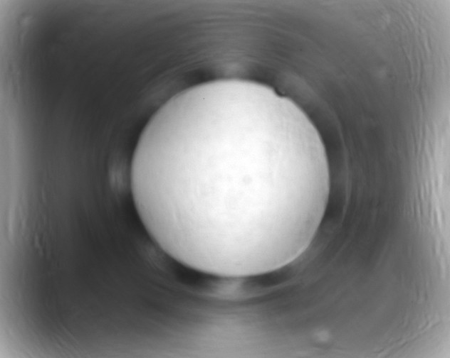 X0000088150090200706041402