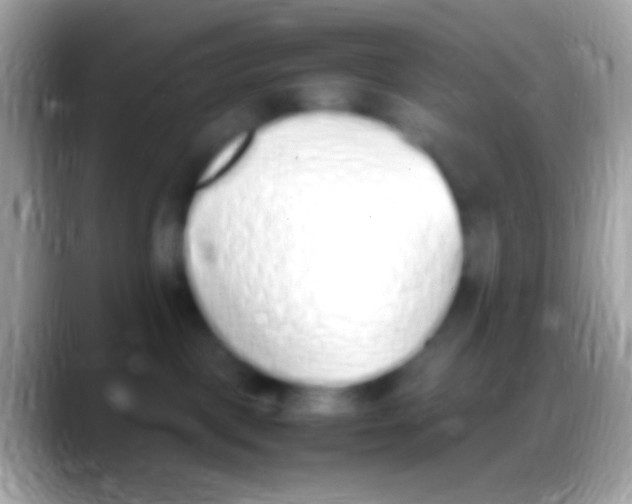 X0000088150093200706041402