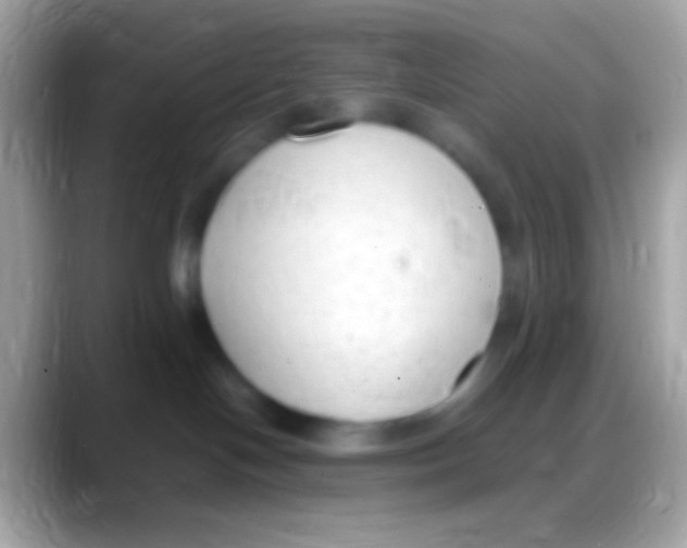 X0000088150094200706041402