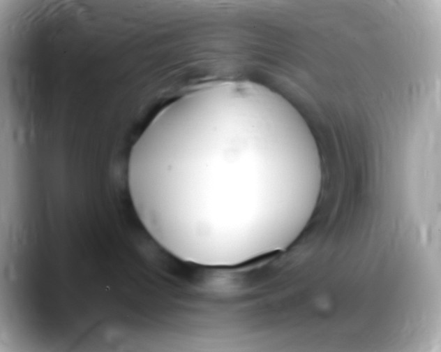 X0000088150096200706041402