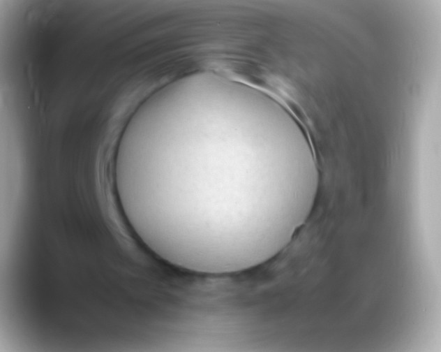 X0000088150097200706041402