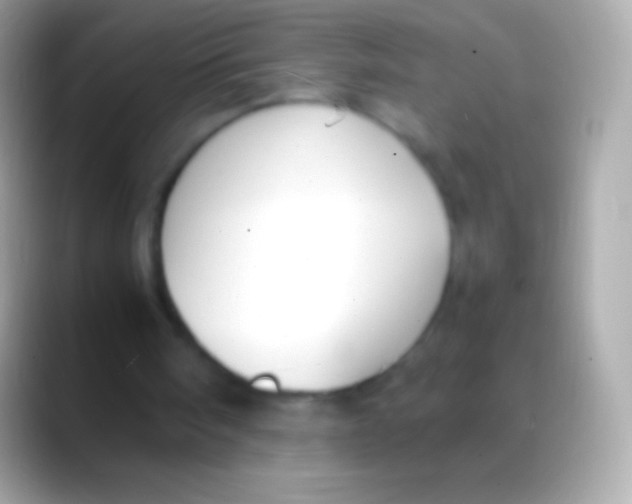 X0000088150098200706041402