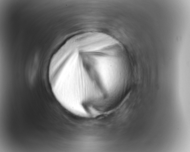 X0000088150099200706041402