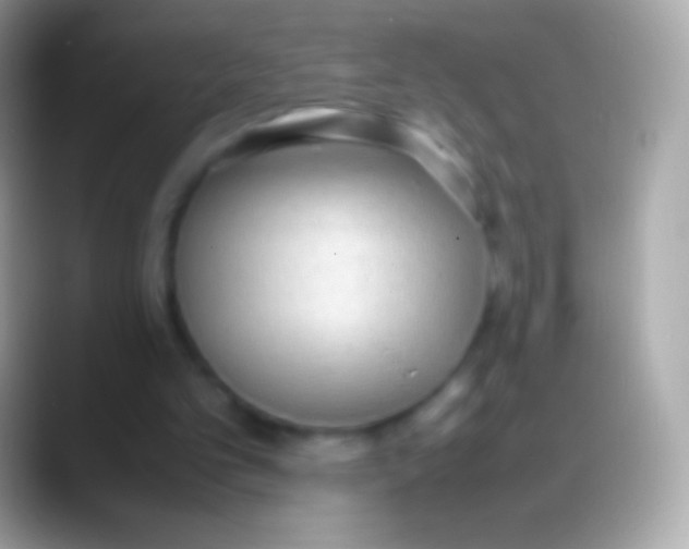 X0000088150101200706041402