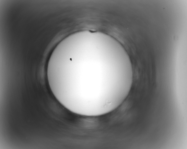 X0000088150102200706041402