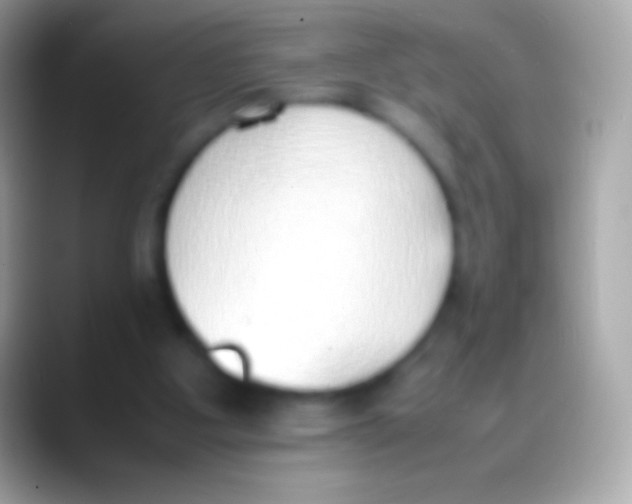 X0000088150107200706041402