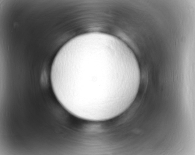 X0000088150110200706041402