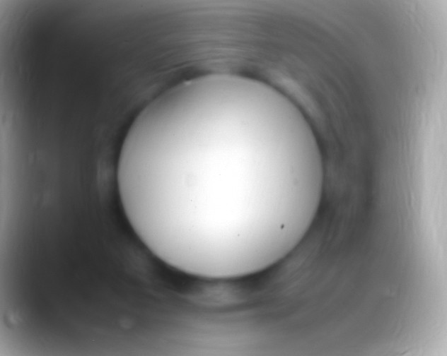 X0000088150113200706041402