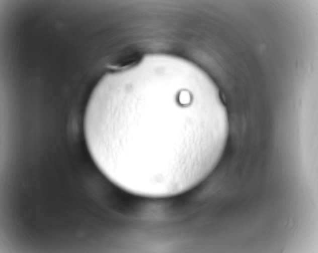 X0000088150115200706041402