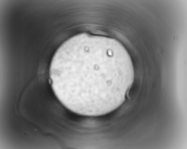 X0000088150119200706041402