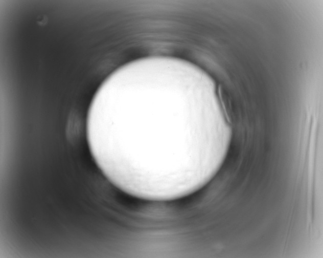 X0000088150123200706041402