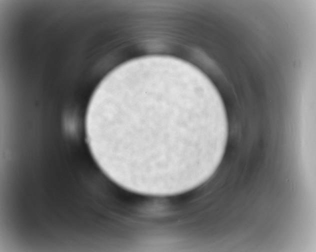 X0000088150124200706041402