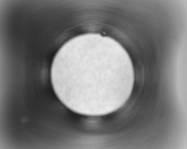 X0000088150128200706041402