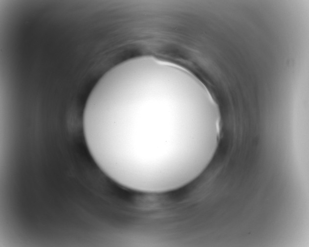 X0000088150129200706041401