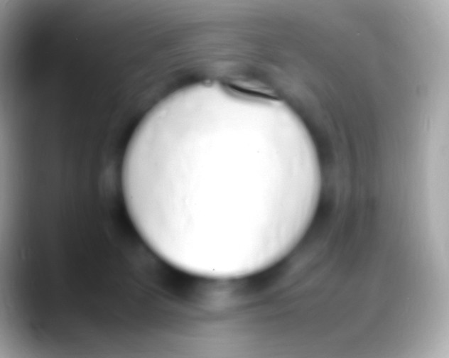 X0000088150131200706041401