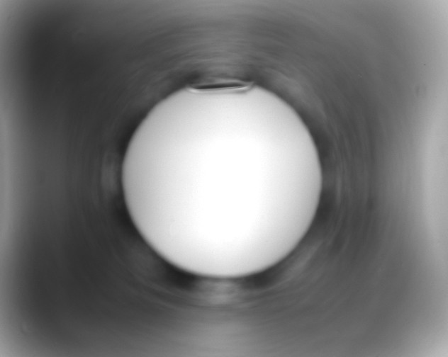 X0000088150133200706041401