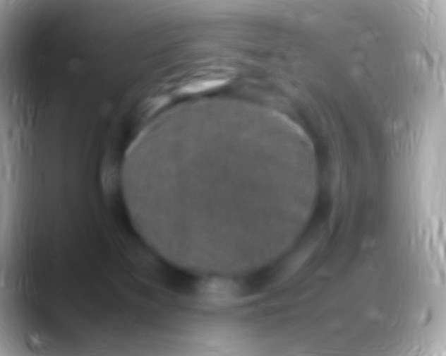 X0000088150137200706041401