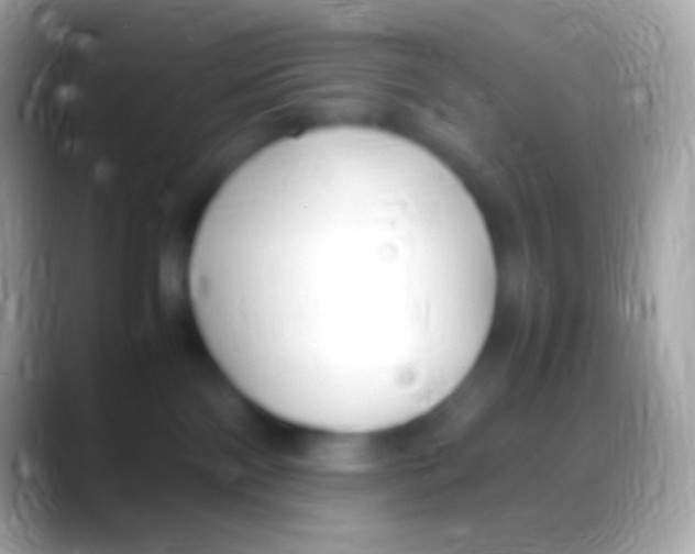 X0000088150138200706041401