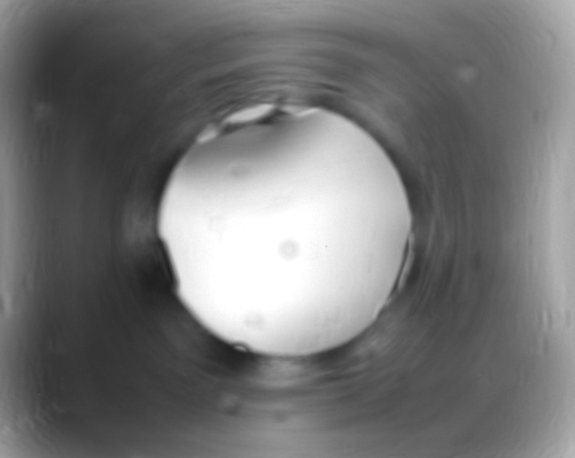 X0000088150141200706041401