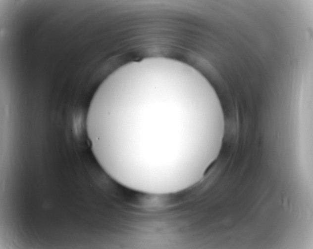 X0000088150142200706041401