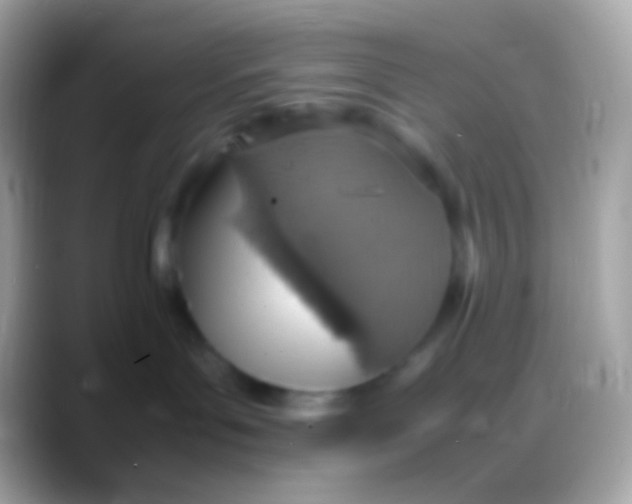 X0000088150143200706041401