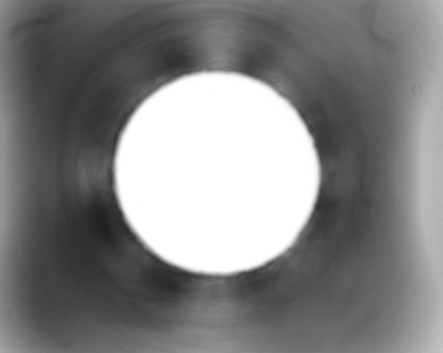 X0000088150146200706041401