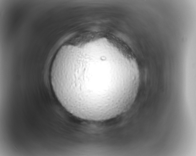 X0000088150147200706041401