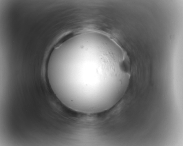 X0000088150148200706041401