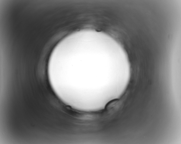 X0000088150149200706041401