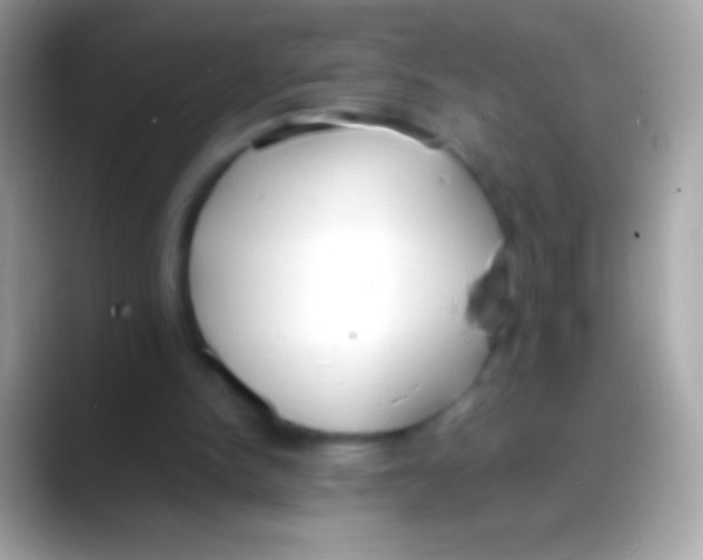 X0000088150150200706041401