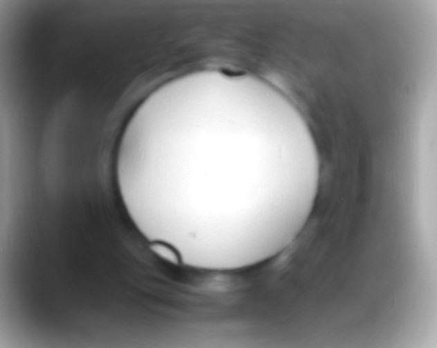 X0000088150151200706041401