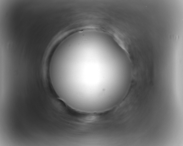 X0000088150152200706041401