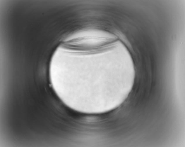 X0000088150154200706041401