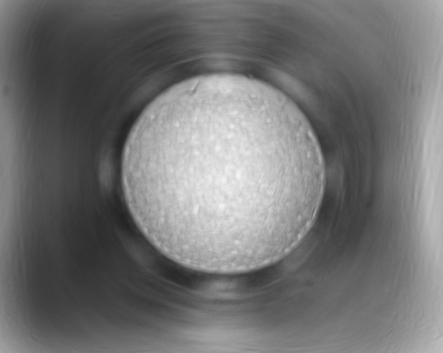 X0000088150158200706041401