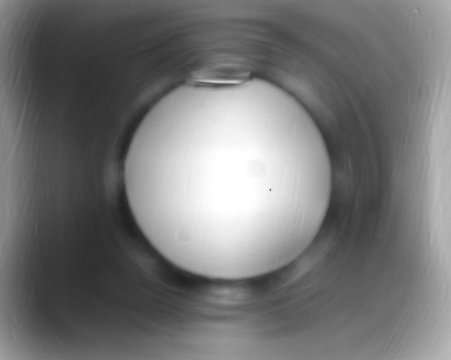 X0000088150160200706041401