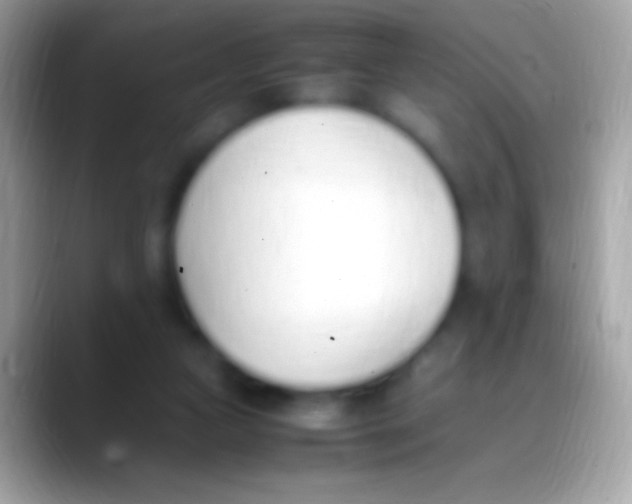 X0000088150161200706041401